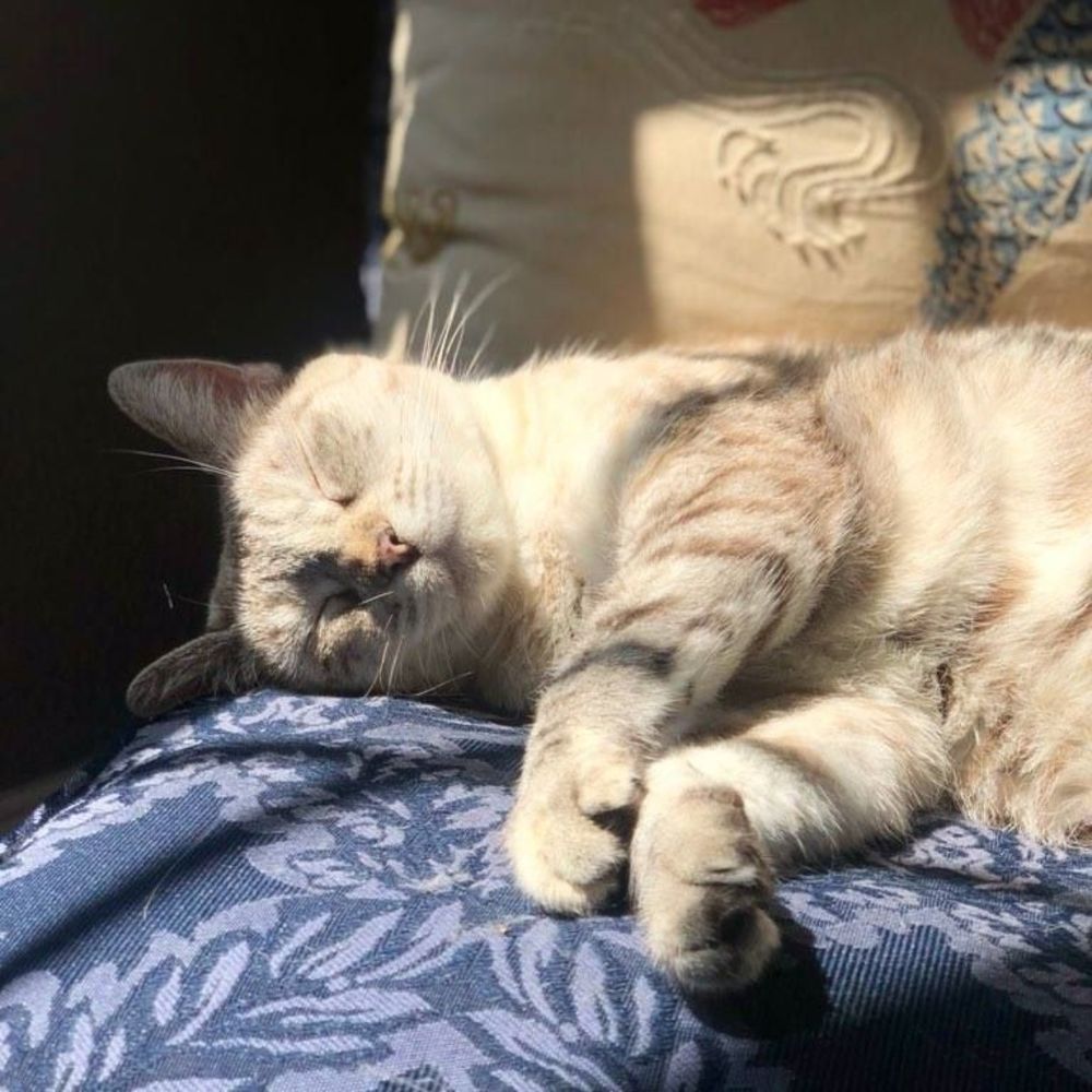 Meet your Posher, Jackie